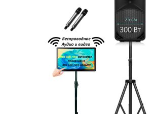 Аренда караоке в Казани — комплект «Домашний праздник»