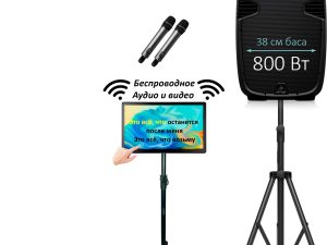 Аренда караоке — комплект «Весёлая компания»