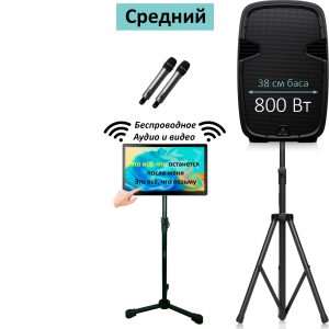 Аренда караоке — комплект «Весёлая компания»